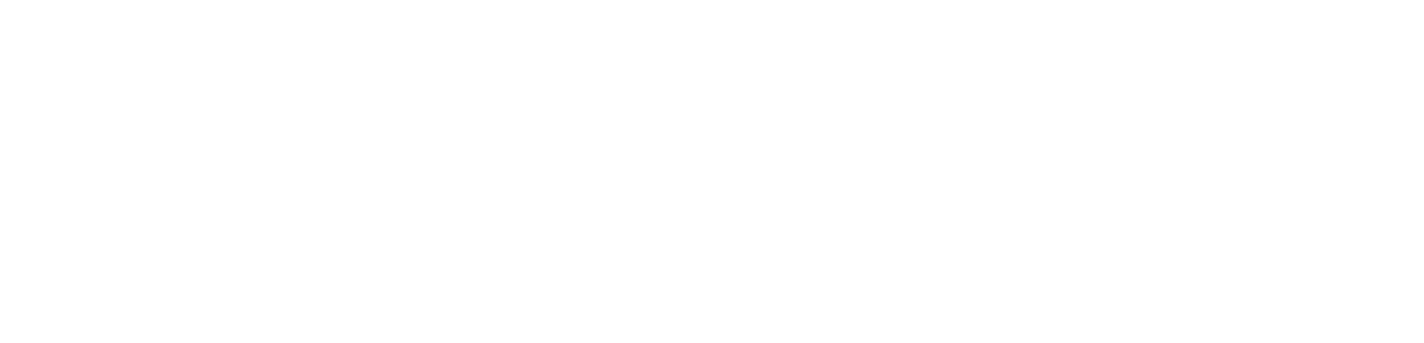 American Visa Consulting